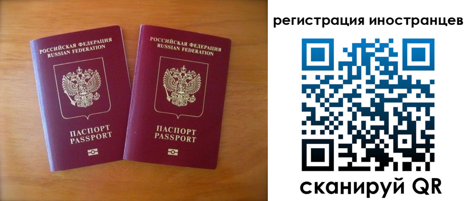 прописка поиск в Ершове